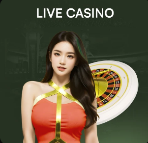 维尔茨父亲：维尔茨增加了肌肉量 最初几个月一直在适应英超